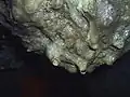 قطرات المياه المعدنية في سقف أحد الكهوف.