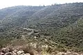جبال الغابات فوق ناحال سوريك