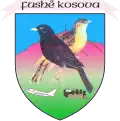 فوشا كوسوفا