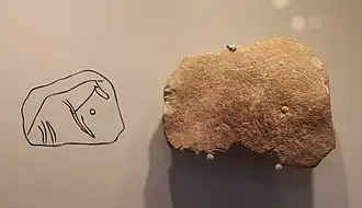 Carving of a horse, كهف حايونيم, 40,000-18,500 BP. متحف إسرائيل.