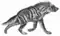 Striped hyena