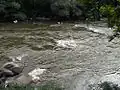 خانق كريزنا.