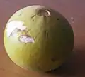 ثمرة ناضجة.