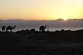 شروق الشمس في نويبع.