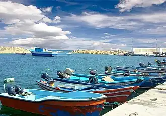 alt=Marsa Surman
Ffg