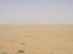 سوريا والسعودية والعراق والأردن (بادية الشام)