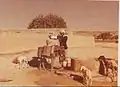 بئر ماء عذب تابعة لإمارة رأس الخيمة