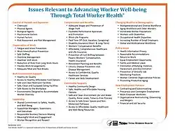 A full page of listing of issues relevant to NIOSH Total Worker Health, broken into the following categories: Control of Hazards and Exposures, Organization of Work, Built Environment Supports, Leadership, Compensation and Benefits, Community Supports, Changing Workforce Demographics, Policy Issues, and New Employment Patterns.