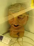 تيري فينابلز