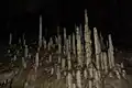 حديقة بارباروزا