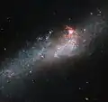 NGC 4656