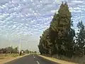 الحزام الأخضر