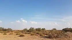 الحياة البرية بصحراء المغير