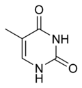 ثايمين