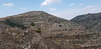 خربة تبنة