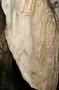 في شكل الستائر