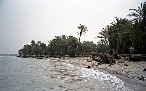 تهامة اليمن
