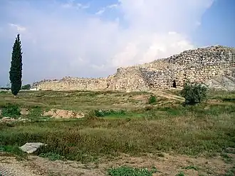 تيرنز
