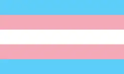 Transgender pride flag