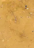 ترافيرتين من ألمانيا