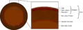 شكل قسم تقاطع شجري