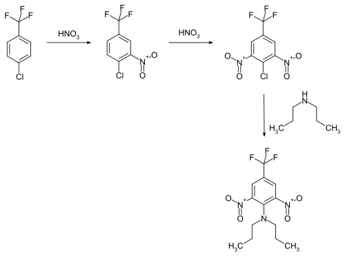 Darstellung