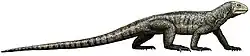 Trilophosaurus buettneri