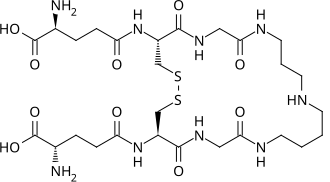 تريبانوثيون