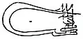 طغراء مُراد الثاني