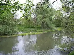 نهر التونجا بالقرب من إلهوفو (Elhovo)، بلغاريا.