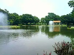 بحيرة تونغهاي
