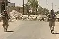 صورة في قضاء عفك 2