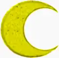 شارة قسيس مسلم ، البحرية