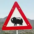 Greenland: musk ox area.