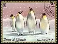 طابع من أم القيوين يحمل صورة بطاريق صدر سنة 1971