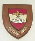 Emblem of the Trucial Oman Scouts (1951-1971)