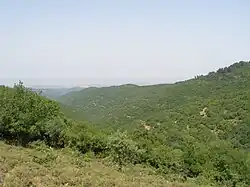 الجليل الأعلى في فلسطين