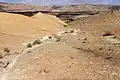 حجر وطين جيري (تكوين ماتمور) في جنوب إسرائيل.
