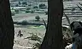 وادي ريو دي أورو.