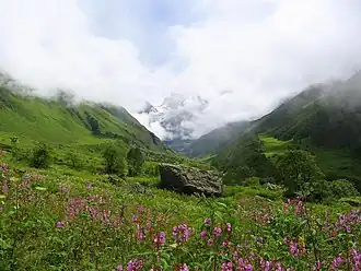 متنزه وادي الزهور