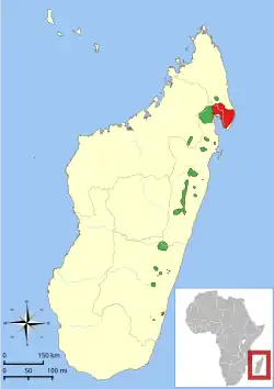 Range map showing isolated east coast ranges of the two species and three subspecies of ruffed lemur: red ruffed lemur (V. rubra) in the north and the three subspecies of black-and-white ruffed lemur in spotty patches moving south in the following order: V. v. subcincta, V. v. variegata, and V. v. editorum