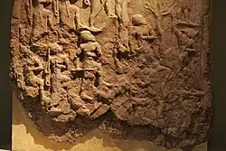 القسم السفلي.