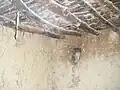 سقف بيت قديم