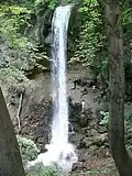شلال ليلافورد