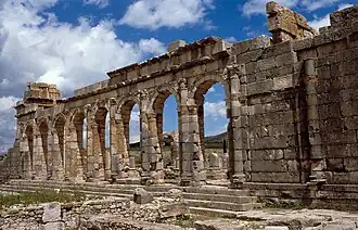 صورة بقايا وليلي