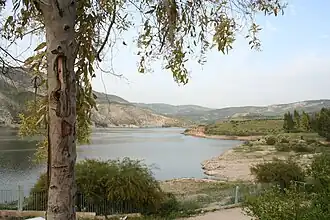 سد وادي العرب
