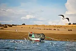 وادي الريان "الفيوم"