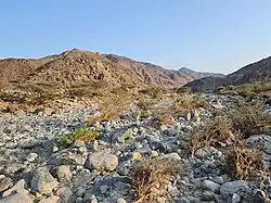 المجرى المائي الموسمي بوادي حلو