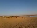 محمية وادي الريان في الصباح مع البحيرة الجنوبية