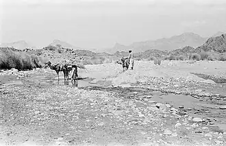 وادي خاط عام 1946م